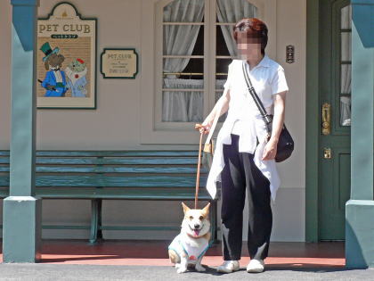 東京犬連れ紀行 東京ディズニーランド編2 コーギー犬koro隊長がゆく